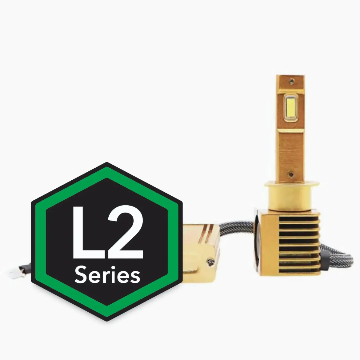 L2-H1