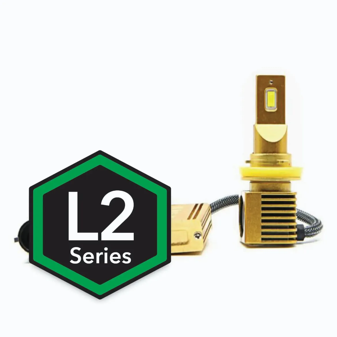 L2-H11