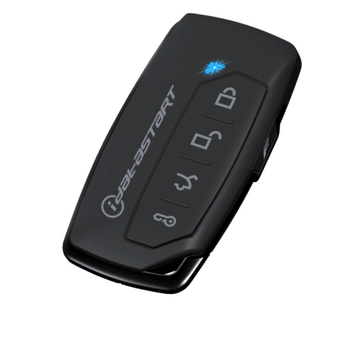 IDATASTART 1-WAY 5-BUTTON FM REPLACEMENT REMOTE